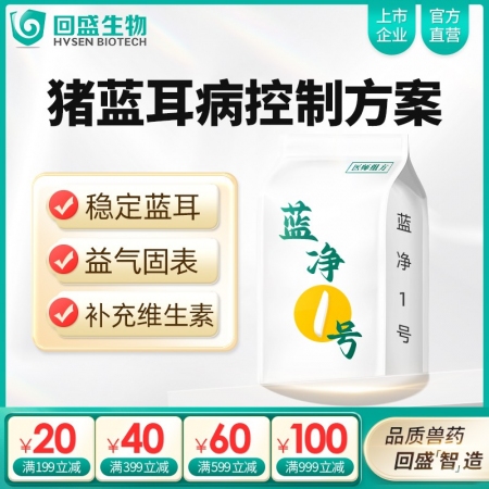 【回盛生物】|藍(lán)凈一號|豬藍(lán)耳病控制方案 藍(lán)耳防控抗應(yīng)激增強(qiáng)免疫力