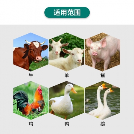 【九天生物】夏冰冰200g/袋豬用解暑降溫促進采食維生素C冰片薄荷冰涼一夏孕畜可用熱應激冰爽vc