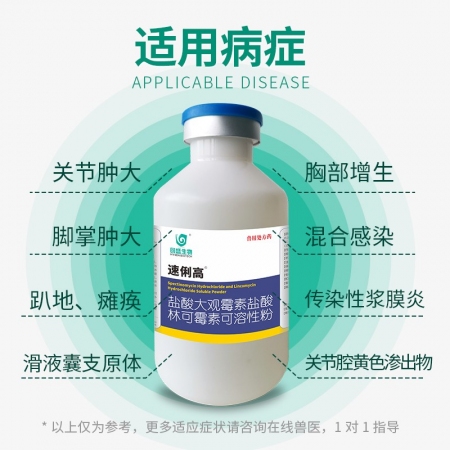 回盛生物 60%鹽酸大觀霉素林可霉素可溶性粉獸用豬雞支原體獸藥