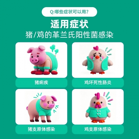 回盛生物 10%鹽酸林可霉素獸用可溶性粉豬藥雞禽支原體呼吸道獸藥
