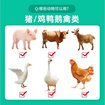 回盛生物 2g阿莫西林鈉注射用粉針雞藥鴨鵝豬牛羊馬肺炎正品獸藥