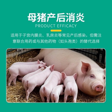 回盛生物 2g阿莫西林鈉注射用粉針雞藥鴨鵝豬牛羊馬肺炎正品獸藥