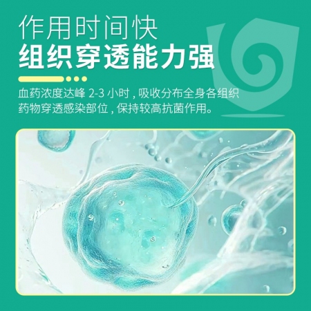 回盛生物 盛美觀 復方磺胺間甲氧嘧啶鈉可溶性粉豬禽呼吸道獸用藥