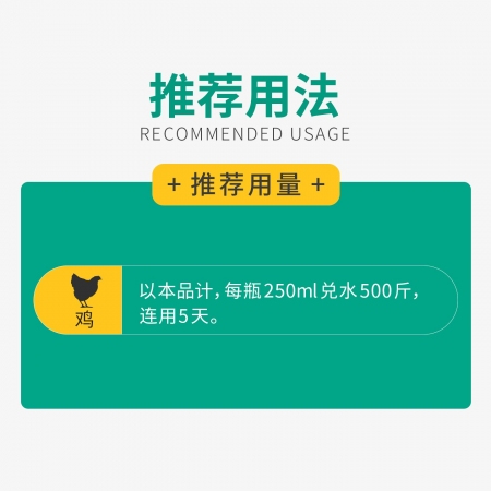 【回盛生物】 10%氟苯尼考溶液獸用鴨禽雞藥黃白痢大腸桿菌呼吸道獸藥