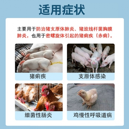 【正格農牧】育隆45%泰妙菌素獸用支原凈豬咳喘肺炎痢疾回腸炎雞拉稀細菌腸炎獸藥