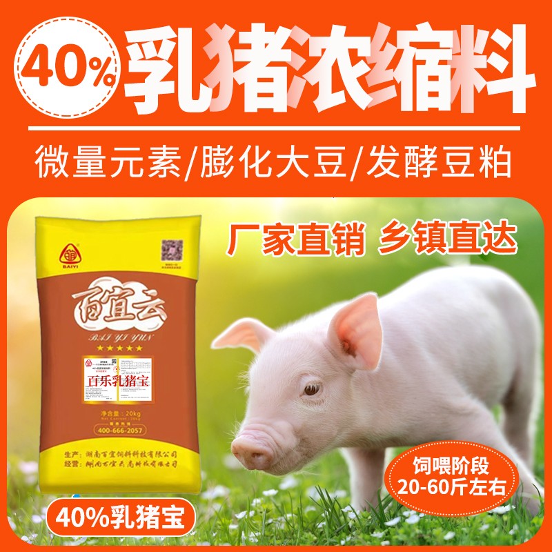 百樂乳豬寶46比保育濃縮料小豬飼料豬用混合濃縮飼料魚粉膨化大豆