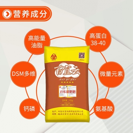 百樂豬肥肥20%乳豬濃縮飼料育肥豬二次育肥豬飼料20kg高蛋白直銷豬用
