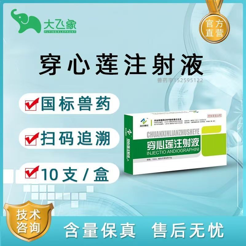 【大飛象】穿心蓮注射液清熱解毒抗菌消炎 細(xì)菌性痢疾尿路感染等