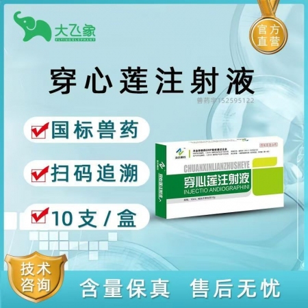 【大飛象】穿心蓮注射液清熱解毒抗菌消炎 細(xì)菌性痢疾尿路感染等