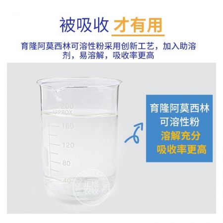 【正格農牧】育隆30%阿莫西林獸用可溶性粉雞鴨牛羊豬水產藥消炎咳嗽腸炎獸藥