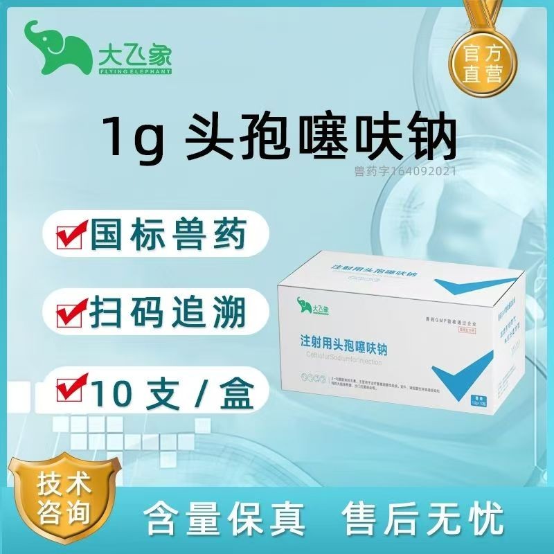 【大飛象】1g頭孢噻呋鈉 （1g*10支) 抗菌消炎 保健 產后消炎 鏈球菌 副豬