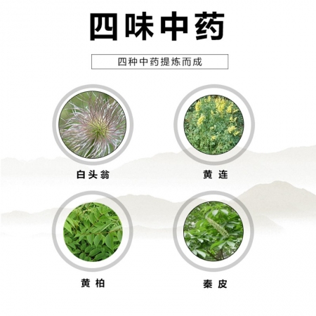 【正格農牧】白頭翁散止痢獸藥拉稀腹瀉豬藥雞鴨牛羊藥大腸桿菌腸炎黃白痢中藥