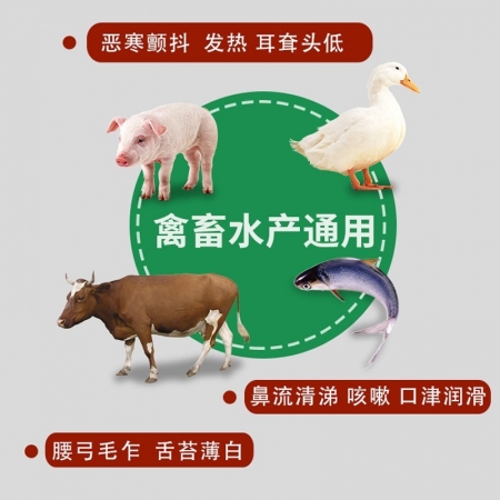 【正格農牧】育隆荊防敗毒散獸用扶正豬雞鴨牛羊流涕風寒感冒流感發熱咳嗽獸藥中藥