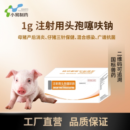 【小易制藥】粉針劑1g注射用頭孢噻呋鈉三代頭孢用于母豬產前產后消炎，仔豬三針保健，奶牛乳房炎等的治療
