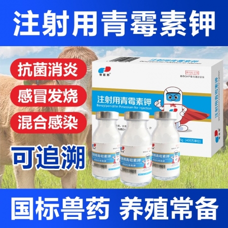 獸用青霉素獸藥注射用青霉素鉀400萬青霉素豬牛羊用貓狗抗菌消炎