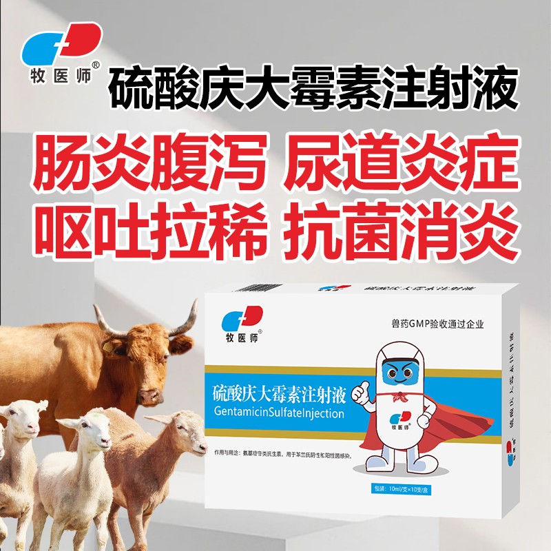 獸藥40萬(wàn)單位慶大霉素注射液豬牛羊犬貓拉稀腹瀉抗菌消炎腸炎痢疾