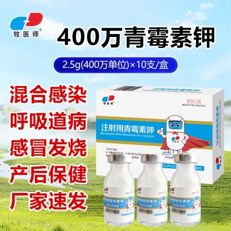 獸用青霉素獸藥注射用青霉素鉀400萬青霉素豬牛羊用貓狗抗菌消炎