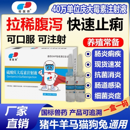 獸藥40萬(wàn)單位慶大霉素注射液豬牛羊犬貓拉稀腹瀉抗菌消炎腸炎痢疾