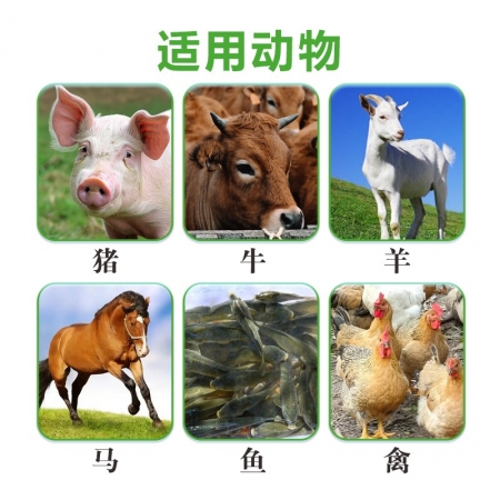 獸用30%氟苯尼考注射針?biāo)i牛羊免子胸膜肺炎咳嗽氣喘呼吸道
