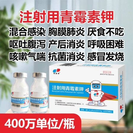 獸用青霉素獸藥注射用青霉素鉀400萬青霉素豬牛羊用貓狗抗菌消炎