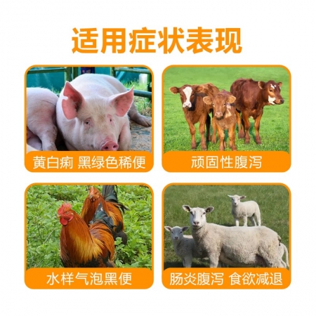 楊樹花口服液獸用牛羊拉稀止痢腸炎口服中藥