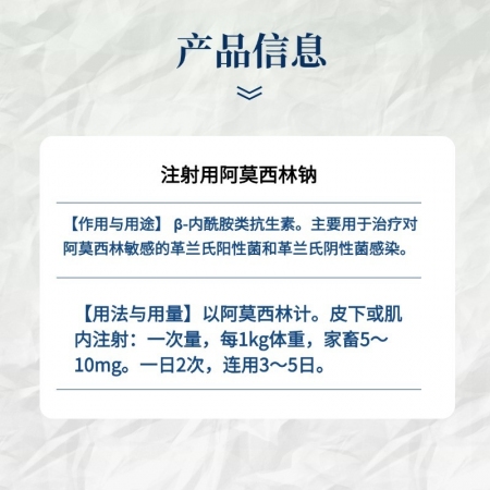 【小易制藥】注射用阿莫西林鈉   粉針劑，用于抗菌消炎、呼吸道感染、咳嗽、感冒、豬丹毒等癥