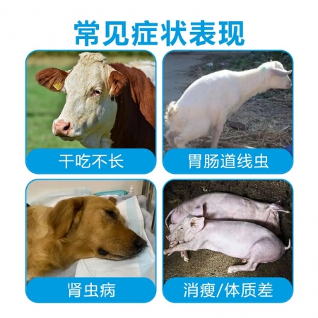 牧医师兽用盐酸左旋咪唑注射液驱虫药牛羊肠胃线虫猪肾虫肺丝线虫