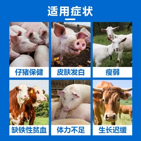 仔猪补铁补血右旋糖酐铁注射液刚出生小猪生血针生血素补铁