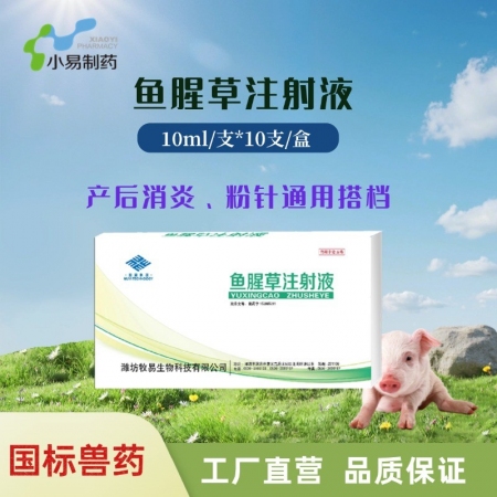 【小易制藥】魚腥草注射液10ml/支*10支清熱解毒，消腫排膿，利尿通淋。產(chǎn)后消炎，粉針通用拍檔。
