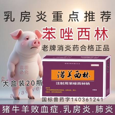 注射用苯唑西林鈉乳房炎母豬產后熱消炎癥產道子宮炎鏈球菌敗血癥