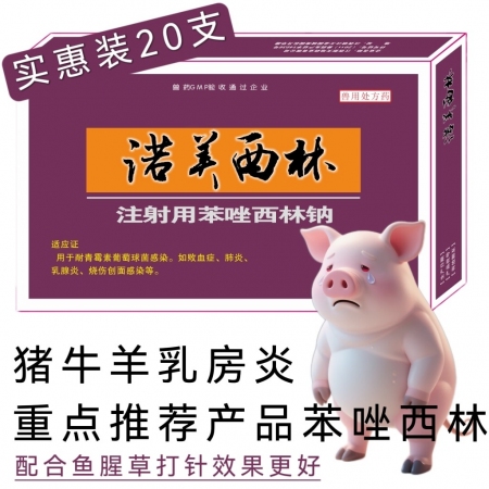 注射用苯唑西林鈉乳房炎母豬產后熱消炎癥產道子宮炎鏈球菌敗血癥