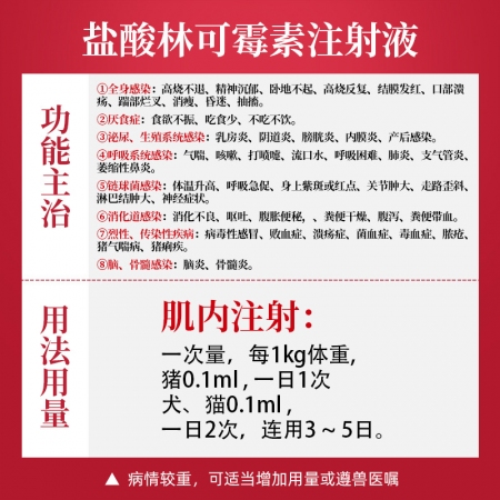 【吉博士】10%盐酸林可霉素注射液针剂10ml*10支 犬猫支原体链球菌