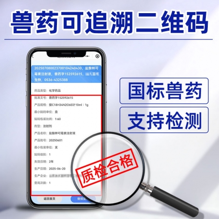 【吉博士】10%盐酸林可霉素注射液针剂10ml*10支 犬猫支原体链球菌