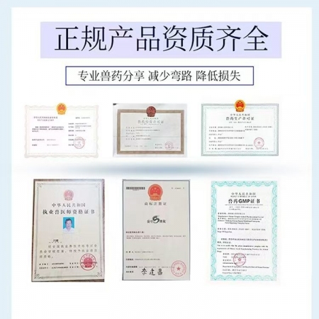 【盛世騰龍】10%阿莫西林可溶性粉500g 抗菌消炎呼吸道母豬產后消炎豬丹毒鏈球菌 豬用 獸用