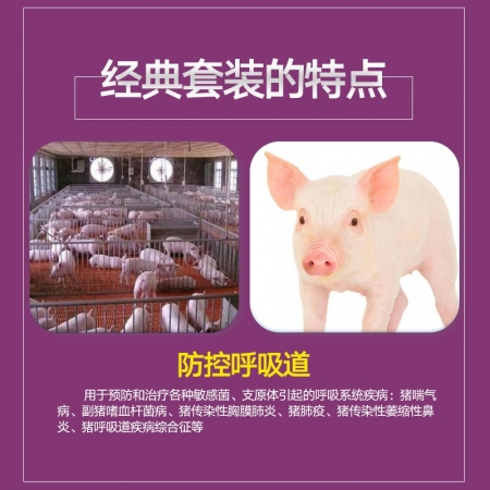 【哼哼動(dòng)保】咳喘停組合套裝2.5kg