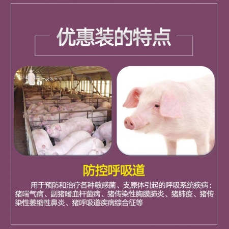 【哼哼動(dòng)保】69元咳喘停組合裝   防治豬喘氣病、胸膜肺炎、副豬、附紅體、弓形體等引起的疾