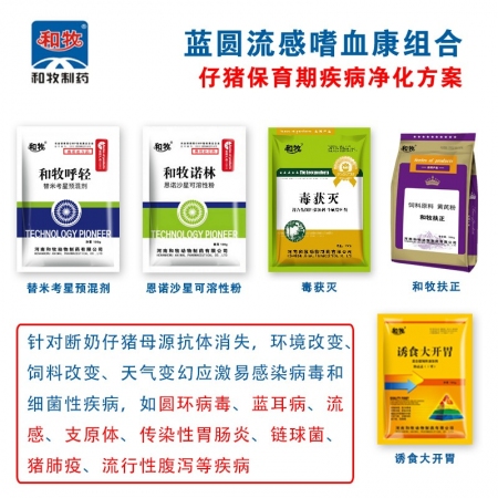 【和牧制藥】藍圓流感嗜血康保育豬呼吸道凈化組合支原體傳染性胸膜肺炎豬肺疫氣管炎回腸炎咳嗽喘氣炸毛高熱