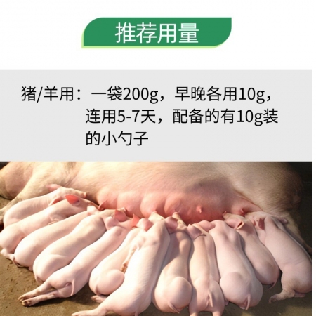 【九天生物】母畜誘情寶200g/袋，適用于母豬發(fā)情配種排卵誘情催情劑母豬不發(fā)情率配不孕發(fā)情不明顯