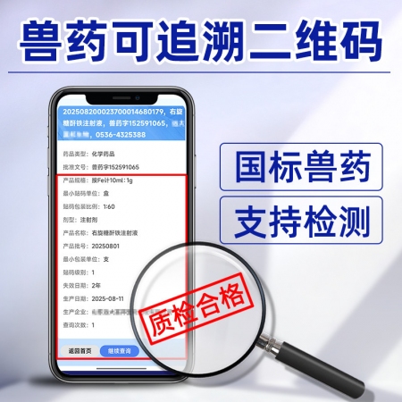 【吉博士】10%高含量右旋糖酐铁注射液 10ml*10支 抗贫血缺铁性贫血