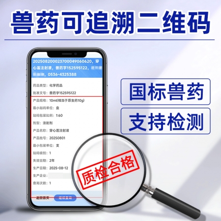 【吉博士】穿心蓮注射液針劑10ml*10支 腸炎 肺炎 清熱解毒 仔豬白痢