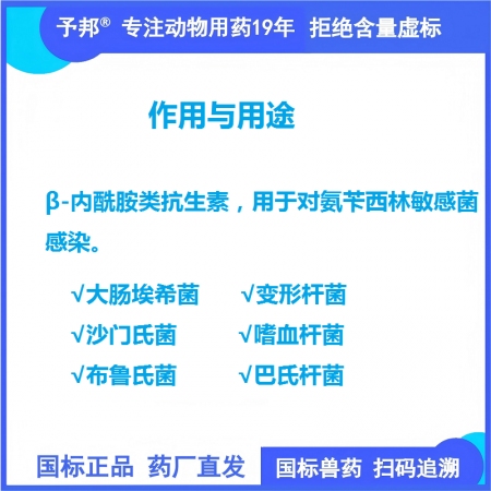 【予邦】0.5g注射用氨芐西林鈉10支 獸用獸藥 國標可追溯 抗生素抗菌細菌感染 豬牛羊馬犬 