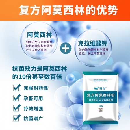 【賽為】復方阿莫西林粉克拉維酸鉀500g復方多效豬丹毒鏈球菌廣譜消炎
