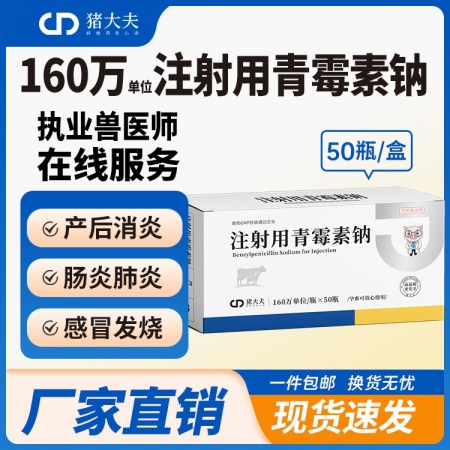 【豬大夫】160萬單位注射用青霉素鈉 獸用 豬馬牛羊雞鴨貓狗消炎