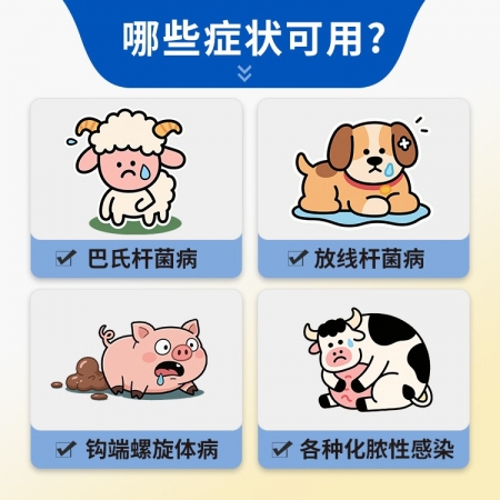 【豬大夫】160萬單位注射用青霉素鉀 獸用 豬牛羊雞鴨貓狗消炎藥