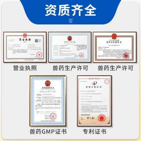 【豬大夫】160萬單位注射用青霉素鉀 獸用 豬牛羊雞鴨貓狗消炎藥