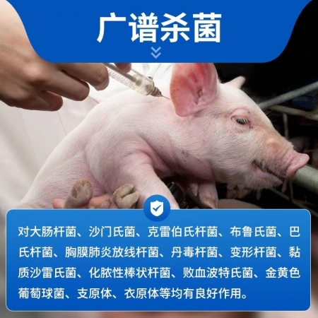 【豬大夫】 10%恩諾沙星注射液 新一代高含量抗菌藥，豬牛羊黃白痢腹、鏈球菌病