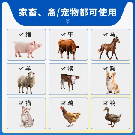 【豬大夫】160萬單位注射用青霉素鈉 獸用 豬馬牛羊雞鴨貓狗消炎