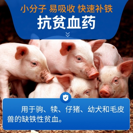 【豬大夫】右旋糖酐鐵注射液  小分子高含量10% 仔豬補鐵補血生血針  分子小吸收好、刺激更小