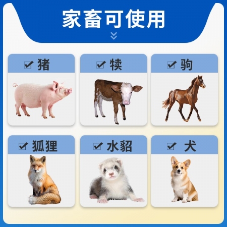 【豬大夫】右旋糖酐鐵注射液  小分子高含量10% 仔豬補鐵補血生血針  分子小吸收好、刺激更小