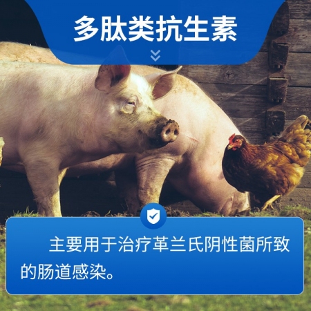 【豬大夫】10%硫酸黏菌素可溶性粉 國標 拉稀 仔豬黃白痢 腹瀉 腸炎 副傷寒 過奶止痢